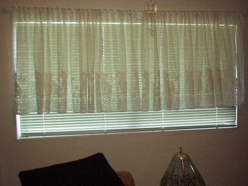 Curtains