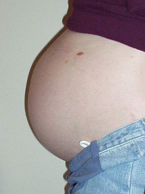 Terri's Belly at 30 weeks